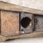 Cforcar Facel Vega Restoration 1 148